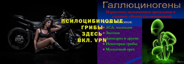 ГАЛЛЮЦИНОГЕННЫЕ ГРИБЫ Волоколамск