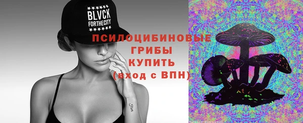 МДПВ Володарск
