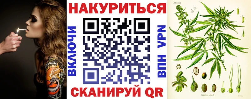 Бошки Шишки SATIVA & INDICA  hydra как зайти  Хасавюрт 